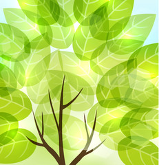 abstract background with transparent leaves and shining light 