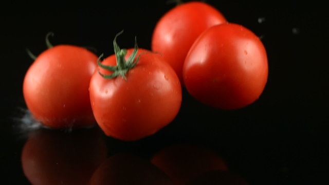 Tomatoes splashing into water on black background