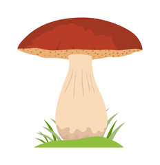 Mushrooms vector cartoon Illustration on white background