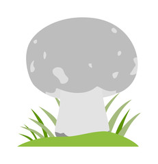 Mushrooms vector cartoon Illustration on white background