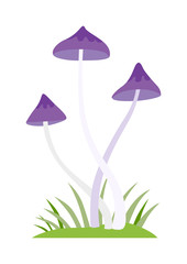 Mushrooms vector cartoon Illustration on white background