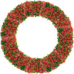 Round frame  from red  spring branches