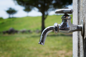 水道の蛇口と自然