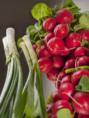 Bunch of radish and spring onion