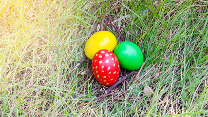 Easter eggs in branch nest on grass background