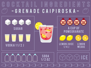 Cocktail Ingredients : Pomegranate Caipiroska :Vector Illustration