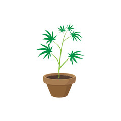 Cannabis plant in a pot icon, cartoon style