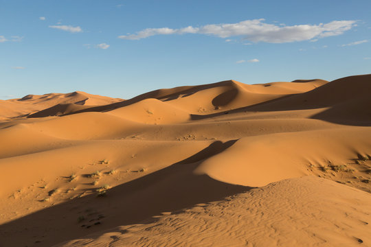 the sand dunes of Merzouga at sunset