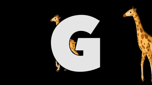 Letter G and Giraffe (background)
Animated animal alphabet. HD footage with alpha channel. Animal in a background of letter.