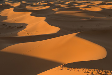 the sand dunes of Merzouga at sunset