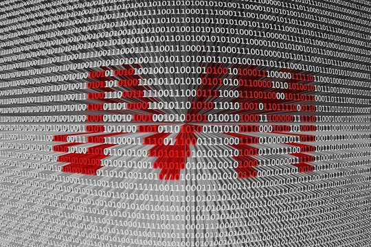 JVM is represented as a binary code