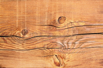 brown wooden texture macro  background texture.