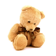 Sad lonely teddy bear isolated on white background. Unhappy and alone doll. Close up.
