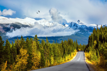 . Canadian Rockies in Fine day