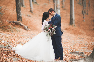 Gorgeous wedding couple kissing and hugging in forest with big rocks