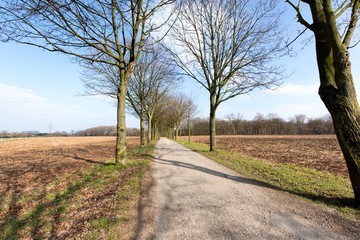 Obraz premium Alley close to Krefeld
