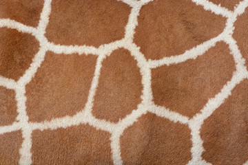 Fond de peau d& 39 animal de la texture de fourrure à motifs sur une girafe africaine