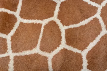 Door stickers Giraffe Animal skin background of the patterned fur texture on an African giraffe