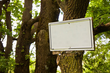 Blank sign indicating hanging on the tree trunk in the woods