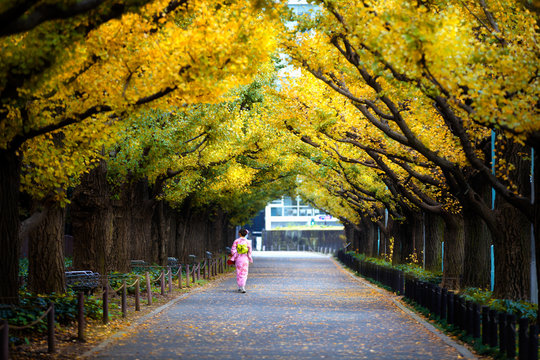 Meiji Jingu Gaien