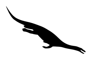 Obraz premium marine dinosaur 