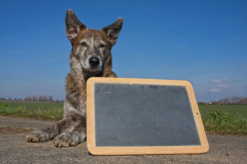 Hund mit leerer Tafel