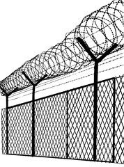 a fence with a concertina wire 