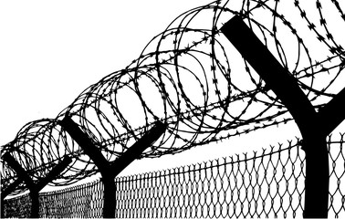 concertina wire 