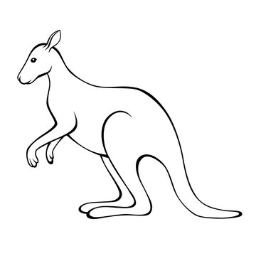 Kangaroo black white isolated illustration vector