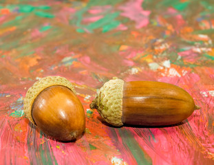 image of acorn on a multicolored background closeup
