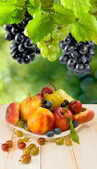 image of fruit in the garden close-up
