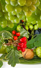 image of berries and nuts close up