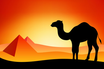 Egypt camel silhouette landscape nature sunset sunrise illustration vector