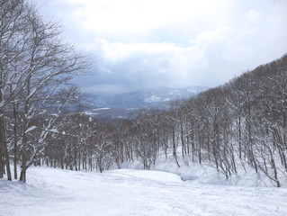 Niseko Ski Resorts in Hokkaido 