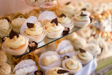 Tray with delicious cakes . Tray with delicious cakes and macaroon