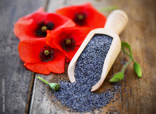 Unterschied Zwischen Blaumohn Und Backmohnen – FVYIU