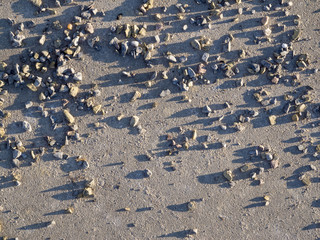 little pebbles on concrete