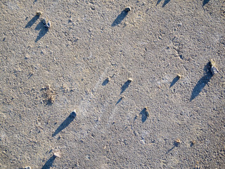 scattered pebbles on concrete