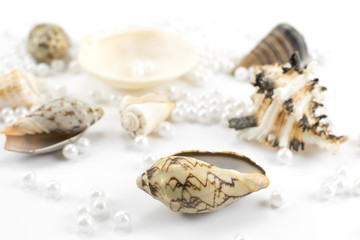pearl beads and seashells on white background