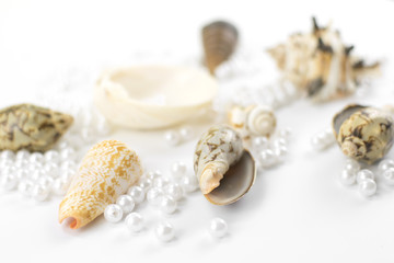 pearl beads and seashells on white background