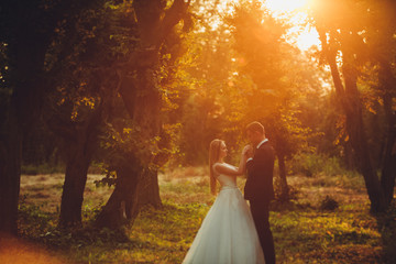 Beautiful romantic wedding couple of newlyweds hugging in park on sunset