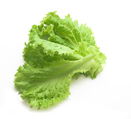 Salad leaf. Lettuce isolated on white background.
