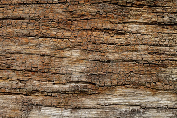 Vintage wood texture, abstract background, grunge