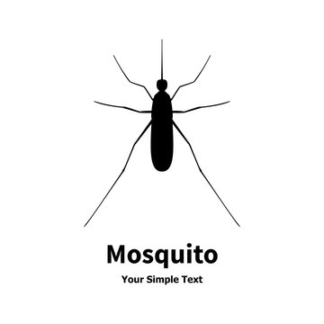 Mosquito