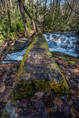 Close Up Perspective of Moss Covered Log Bridge