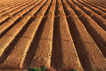 ploughed farmland