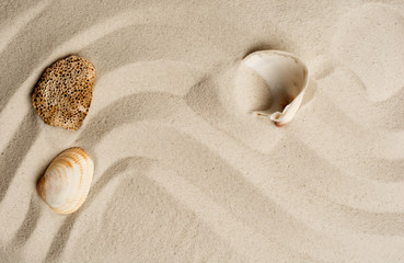 Close up shot of coral sand