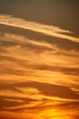 Cloudscape in a evening