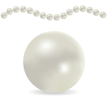 White pearl. Clip art
