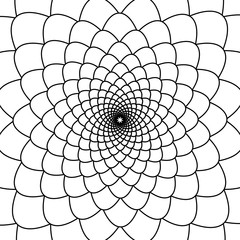 Obraz premium Abstract black and white fibonacci background